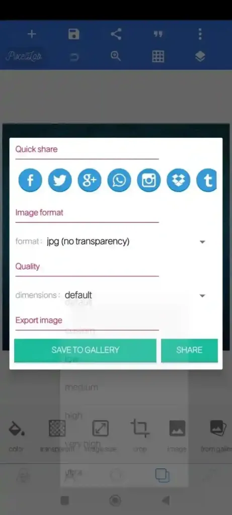 Export-Options-in-pixellab